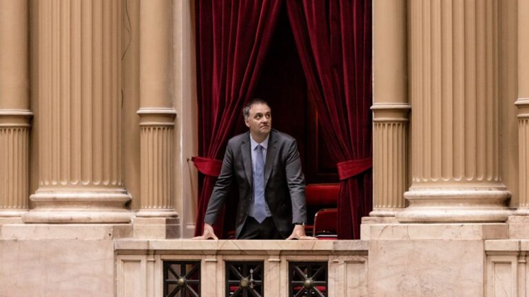 Adorni en la Arena: La Batalla Decisiva en Diputados
