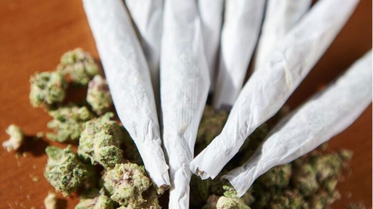 EE.UU.: El Departamento de Justicia Aligera las Restricciones sobre la Marihuana
