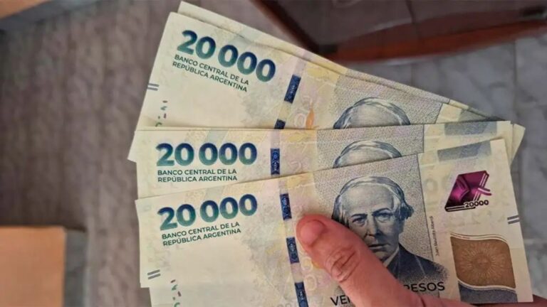 Vivir con $8 al día: ¿Qué provincia tiene la mayor brecha con CABA?