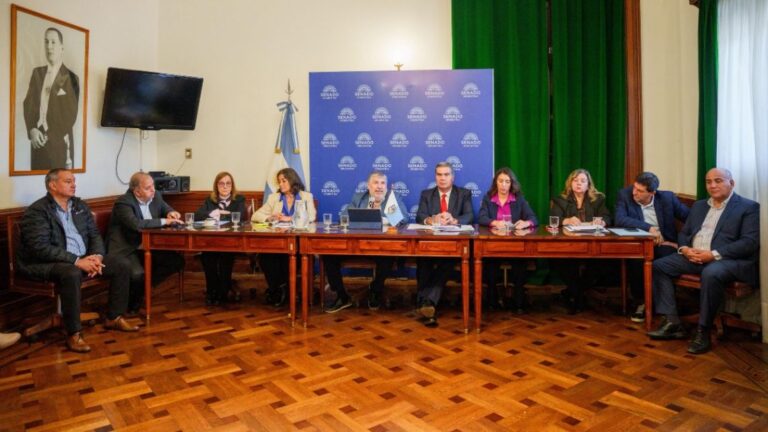 Senadores del NEA proponen tarifa eléctrica reducida: hasta un 50% menos