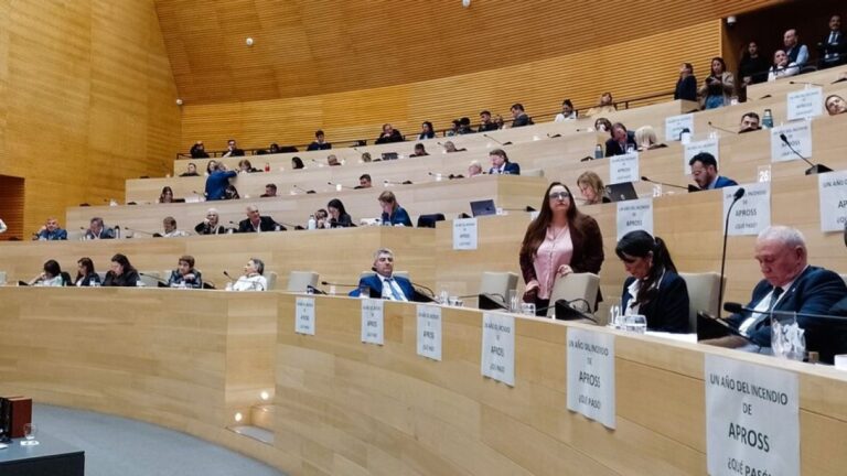 Tensión en la Unicameral: El ‘factor Milei’ intensifica el cruce entre Rossi y Nicolás