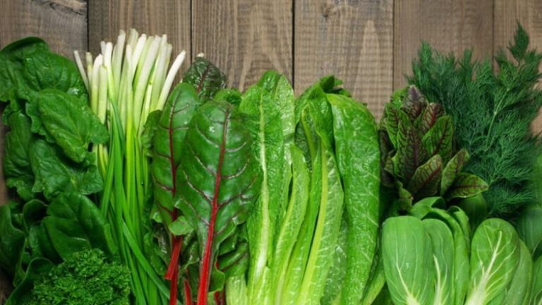 Productores Controlan Precios de Verduras de Hoja Verde a Pesar de Pérdidas por Lluvias