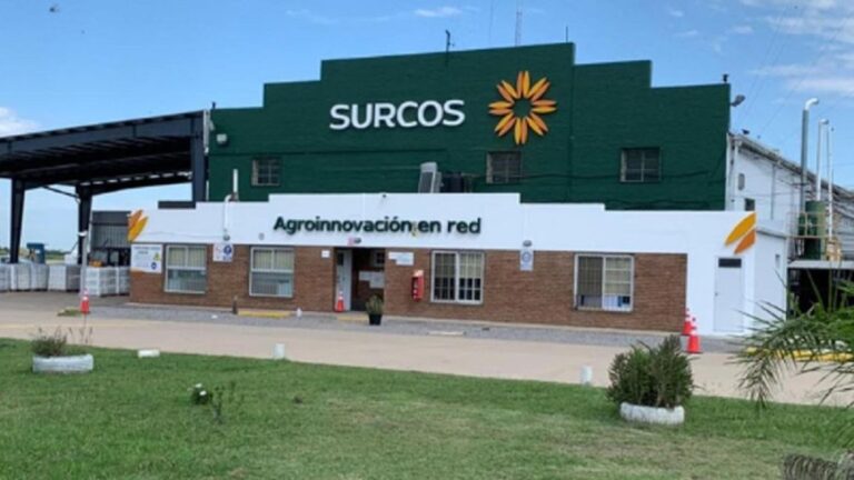 Surcos al borde del default: Justicia y CNV investigan sus balances y filiales