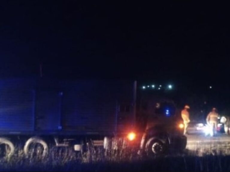Trágico accidente en Ruta 38: conductor muere tras atropellar un caballo