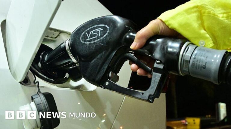 El impacto de la salida de Emiratos Árabes en la OPEP y los precios del combustible