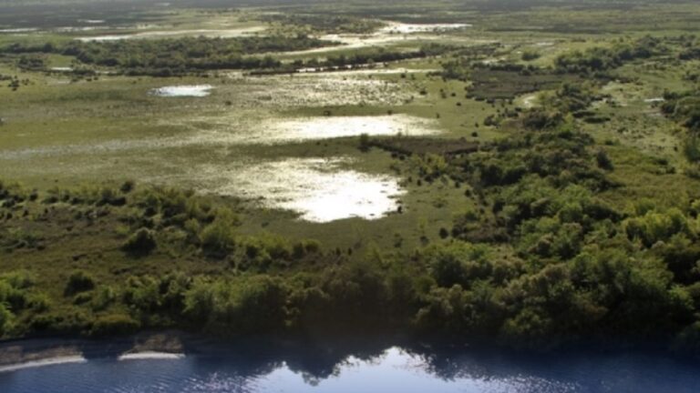 Ampliación del Parque Nacional Esteros de Farrapos e Islas del Río Uruguay: ¡Una buena noticia!