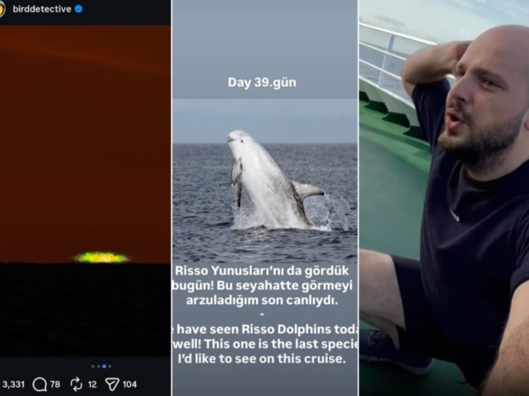 Sin ratas y con gimnasia: las últimas horas del crucero del hantavirus antes de llegar a Canarias