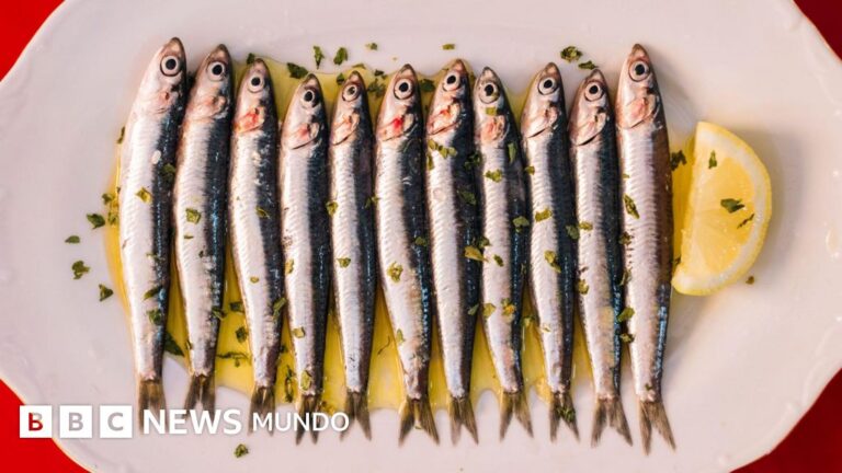 3 Razones por las que las Sardinas Son un Superalimento Económico para tu Salud