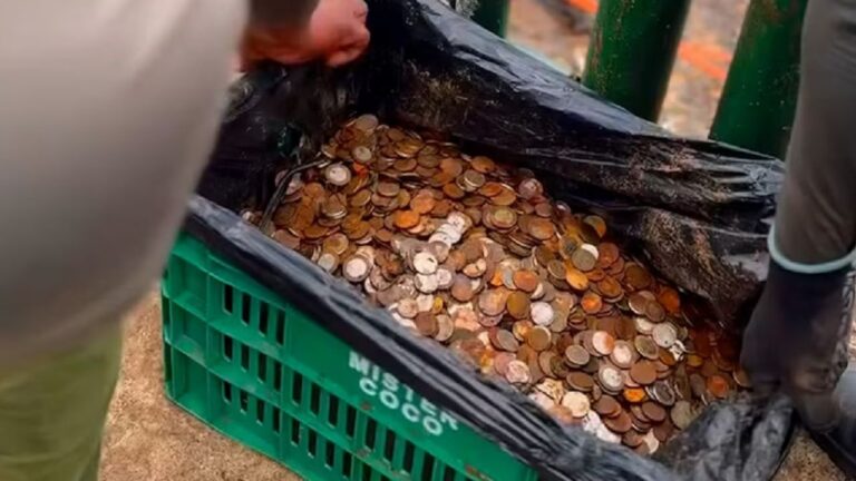 Descubren 400 kilos de monedas y desechos electrónicos en las Cataratas del Iguazú