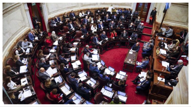 El Senado Aprueba la Ley de Regularización de Armas de Fuego