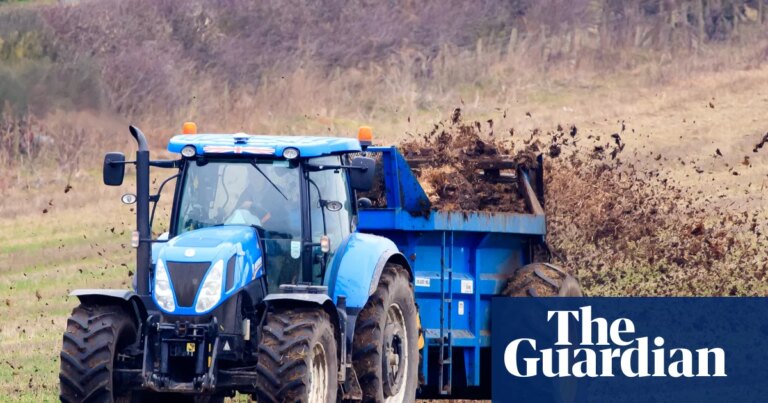 Crisis de suministro: escasez de fertilizantes impactará dramáticamente los precios de los alimentos, advierte la firma del Duque de Westminster.