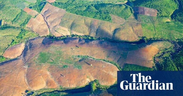 Brazil’s Atlantic Forest Sees 40-Year Low in Deforestation