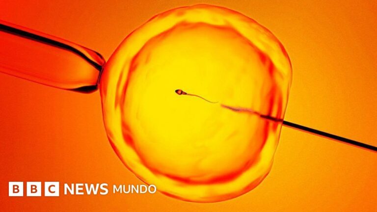 Descubren técnica innovadora para hallar ‘espermatozoides ocultos’ y brindar esperanza a hombres infértiles