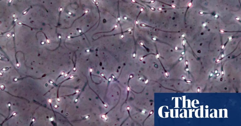 Revolución en salud masculina: Hombre genera esperma a partir de tejido testicular congelado desde su infancia