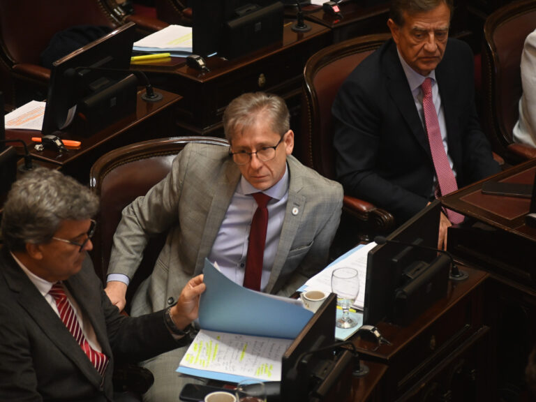 Reforma de las PASO: Recuperando Su Propósito