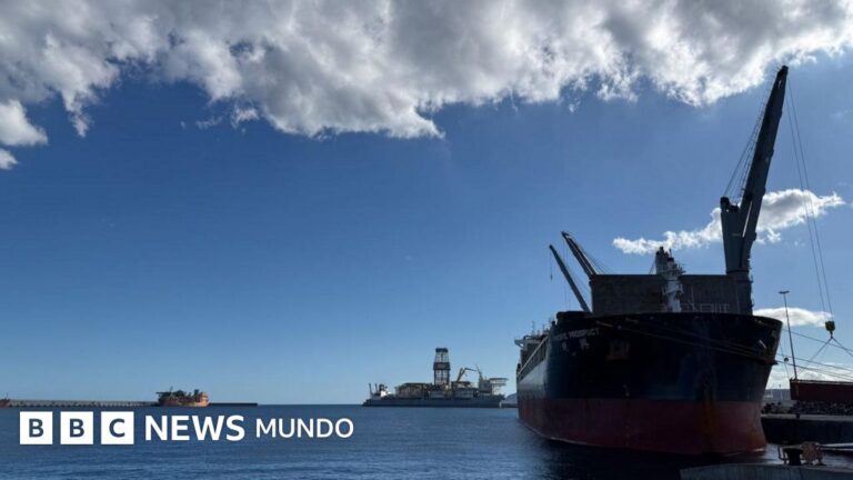Hantavirus en Tenerife: Preparativos médicos ante el crucero afectado