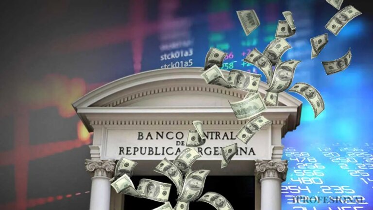 Ahorristas e importadores buscan más dólares: Desafíos para el BCRA