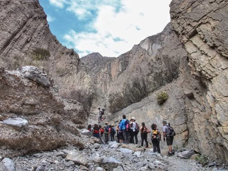 Escapada Otoñal: Naturaleza y Aire Puro para Desconectar