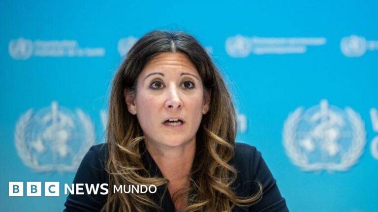 Hantavirus: La OMS aclara que brote en crucero con rumbo a España no es una pandemia