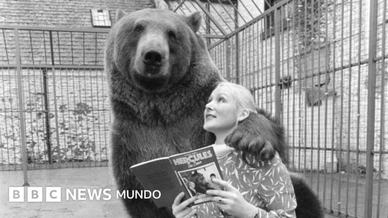 El asombroso relato de Hércules, el oso que fue adoptado como parte de una familia
