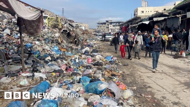 Ratas invaden campamentos de Gaza: un peligro de enfermedades