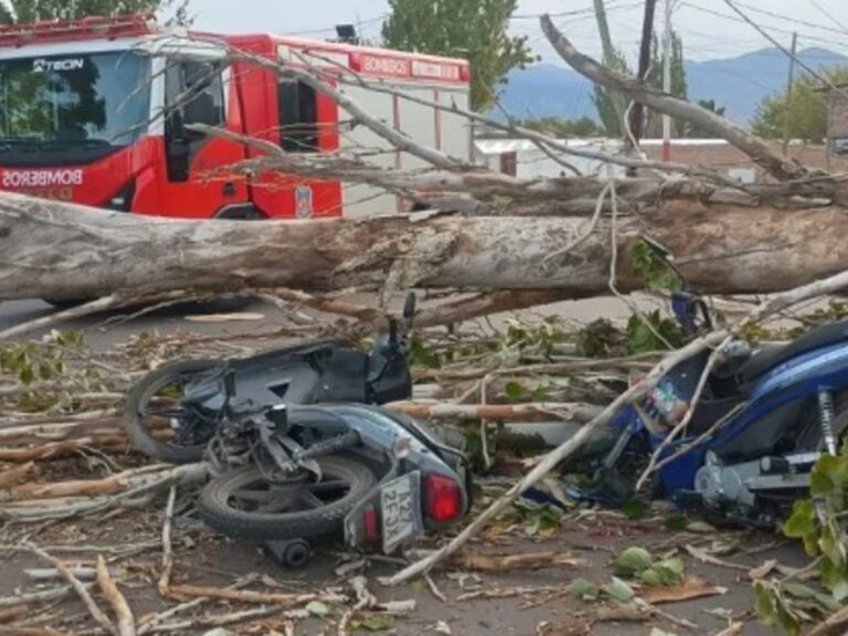 Tragedia en Mendoza: Viento Zonda causa un muerto y tornado junto a granizo azotan el centro de Buenos Aires