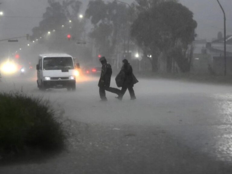 Maldonado en la Costa Atlántica: Temporal deja calles anegadas y árboles caídos