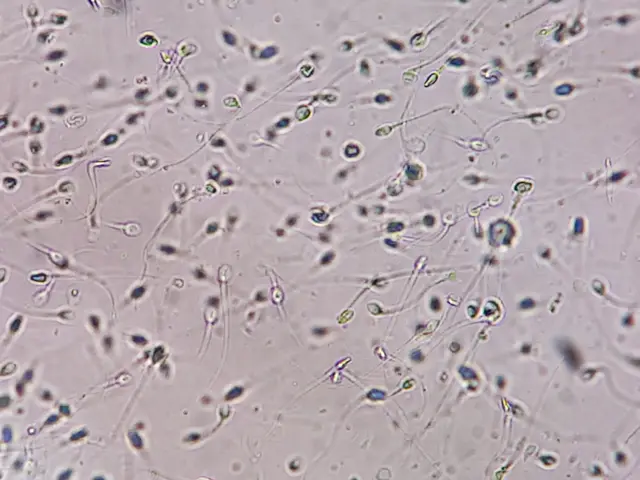 Muestra biológica con espermatozoides