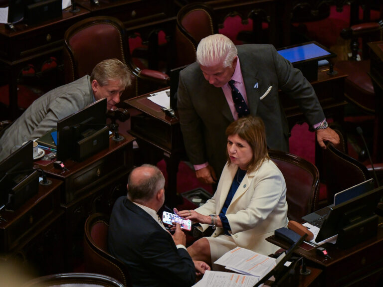 Conflicto entre Karina Milei y Bullrich frena la Reforma Electoral en el Senado