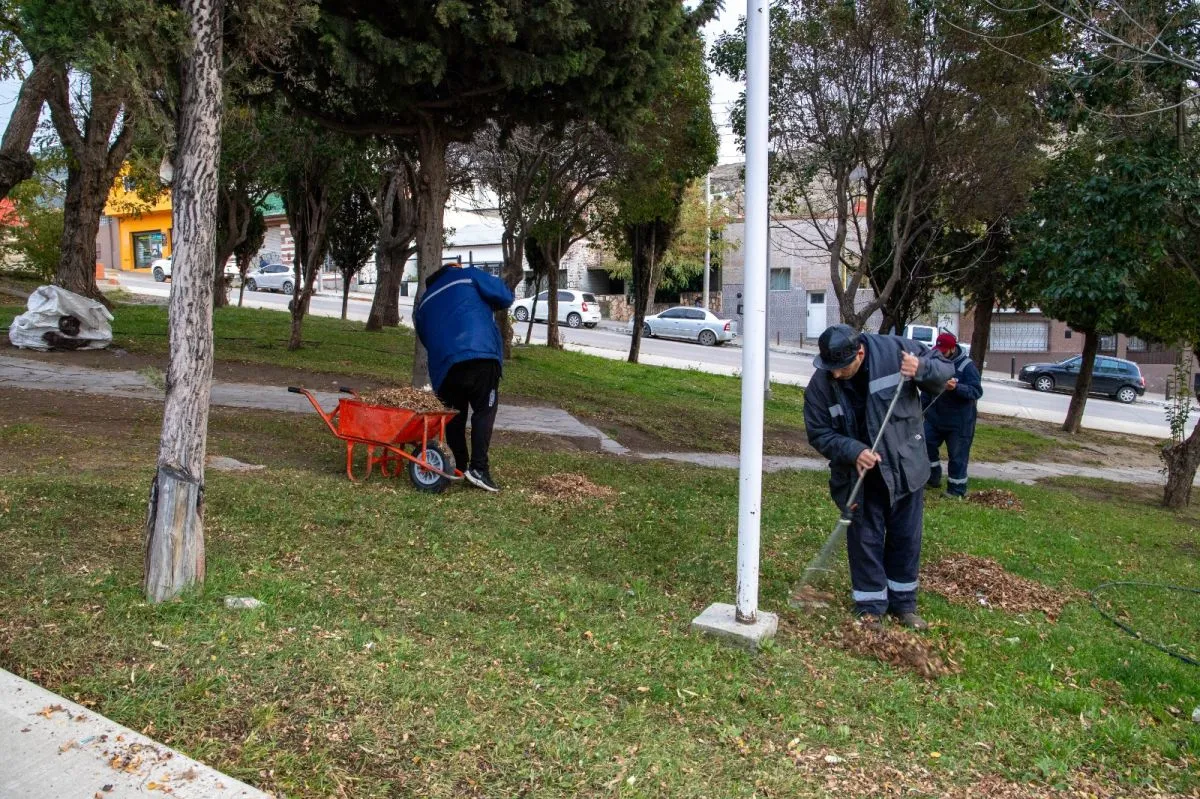 Transformación del centro