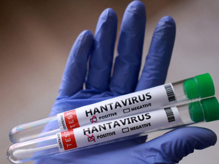Revelan que fármaco para otra enfermedad combate el hantavirus: ¡Una nueva esperanza!