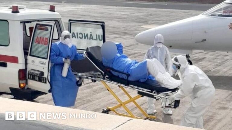 Descubren nueva cepa de hantavirus en brote mortal de crucero argentino