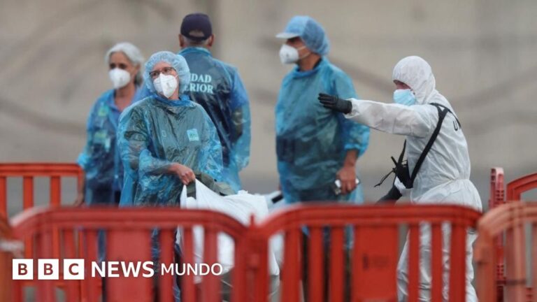 Nuevos casos de hantavirus en turistas de Francia y EE. UU. que viajaron en crucero afectado