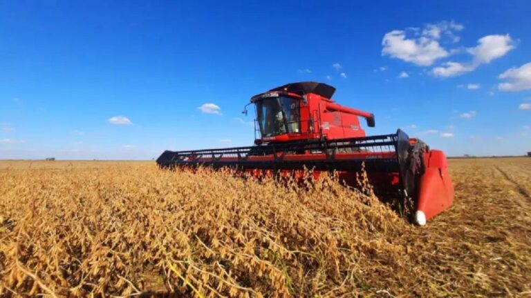 El Agro en Auge: Rumo a Récords Históricos