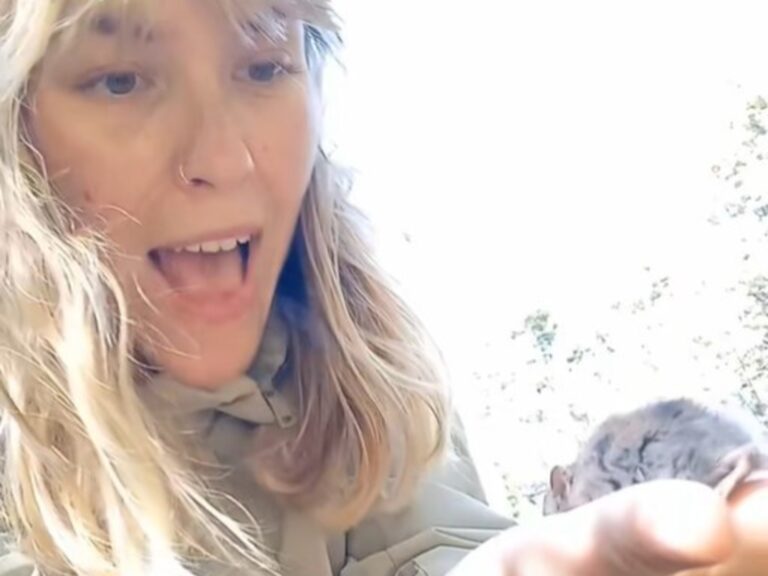 Influencer acaricia ratón portador de hantavirus: la polémica por su ‘cuteness’