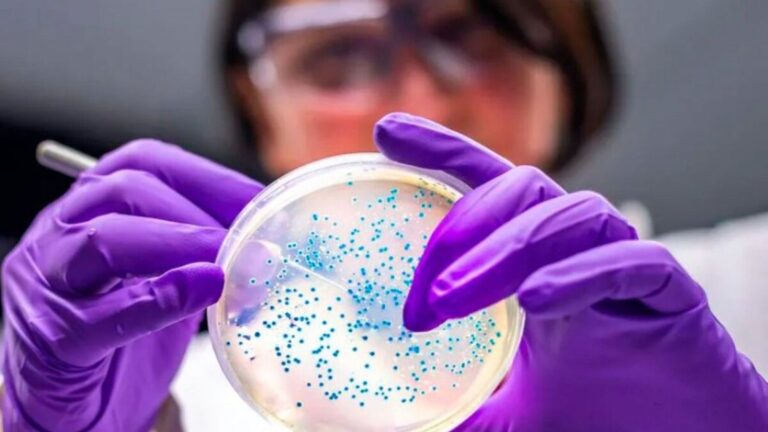 Lanzan nuevo medicamento contra superbacterias nosocomiales