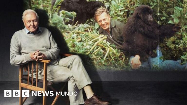 David Attenborough cumple 100 años: El legado de «La vida en la Tierra» y su impacto en nuestra visión de la naturaleza.