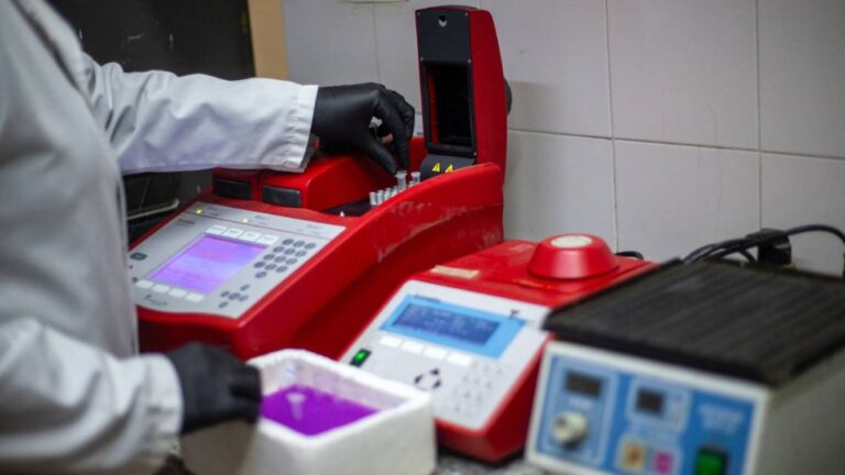 Expertos del Gobierno llegan a Ushuaia tras casos de hantavirus en crucero
