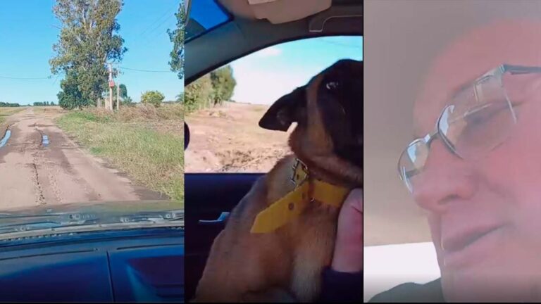 Un conmovedor reencuentro: perro y dueño se abrazan de nuevo