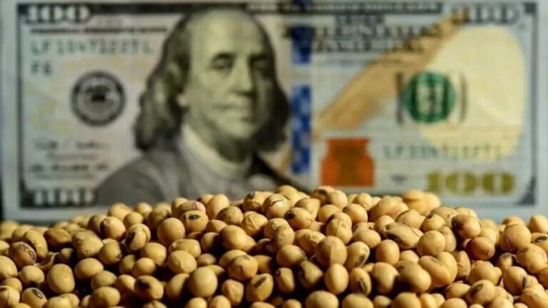 Proyección Agro: Liquidación de Divisas de 29.600 Millones para 2026