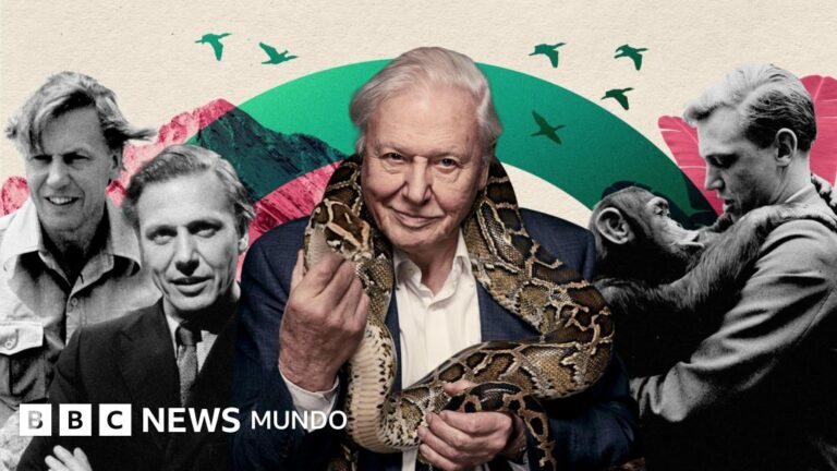 David Attenborough: 100 Años de un Pionero en Documentales que Transformaron Nuestra Visión del Planeta