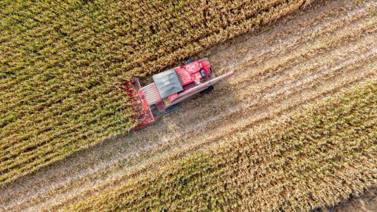 Agro en Auge: Éxitos y Riesgos de la Burbuja
