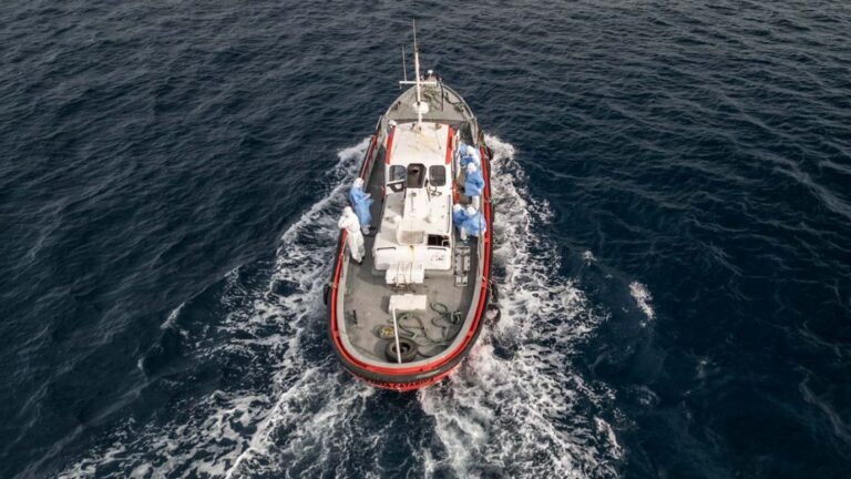 Hantavirus en Crucero: Infectólogos Califican Transmisión entre Personas como ‘Marginal’