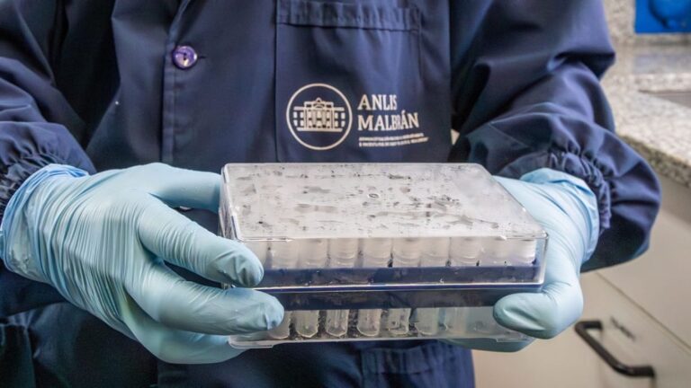 Hantavirus: Argentina envía insumos para diagnóstico a países afectados
