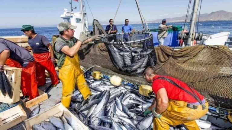 Crisis en la Pesca Costera: Escasez de Combustible y Barcos Inactivos Apuestan al Sector