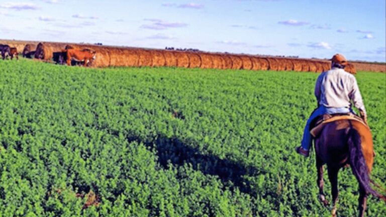 El Gobierno Aprueba la Primera Paritaria Rural Tras la Reforma Laboral