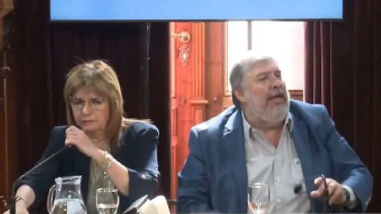 Intercambio candente en el Senado: José Mayans y Patricia Bullrich debaten sobre Adorni