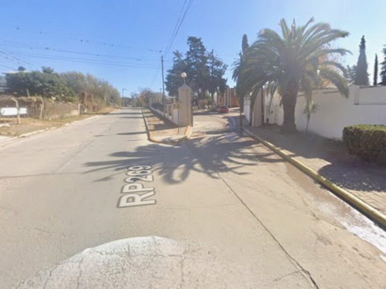 Perro ataca y mata a niña de 4 años en trágico incidente
