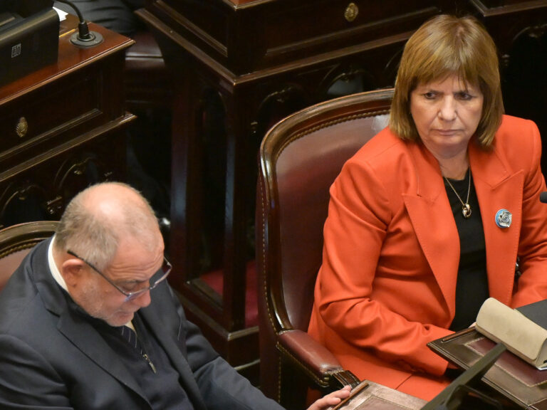 José Mayans y Patricia Bullrich intercambian ironías sobre corrupción: ‘Los bolsos de López traían 8 millones de figuritas del Mundial’