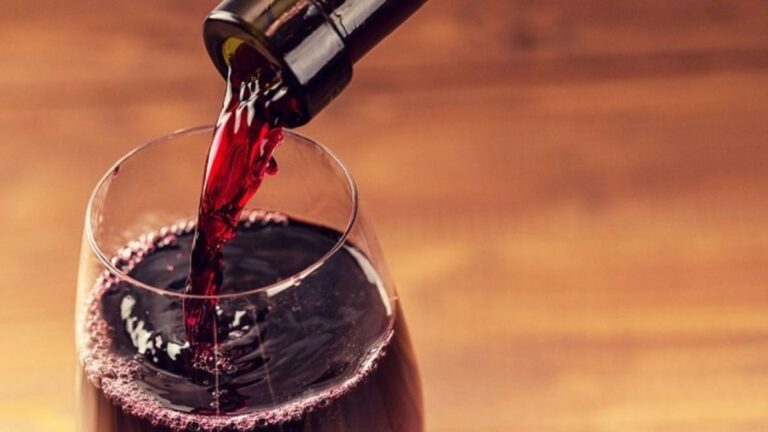 El Vino Revelado: Corcho, Historia y Ciencia en Cada Botella